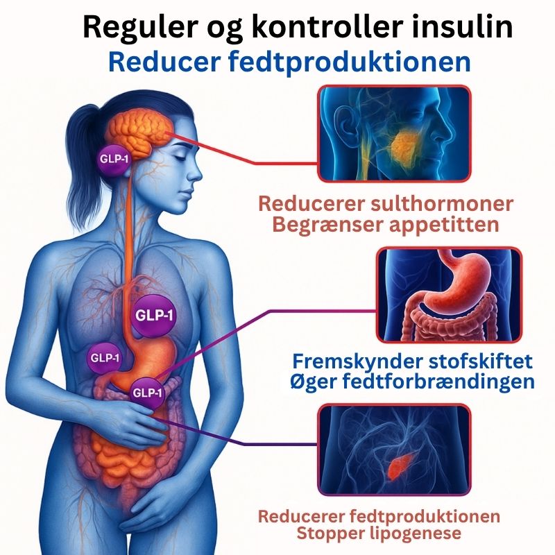 SlankeStyrke™ | Tab 8 kg og få flad mave på kun 10 dage!
